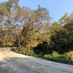 Alas Roban A Mysterious Forest Full of History, Myths, and Natural Beauty